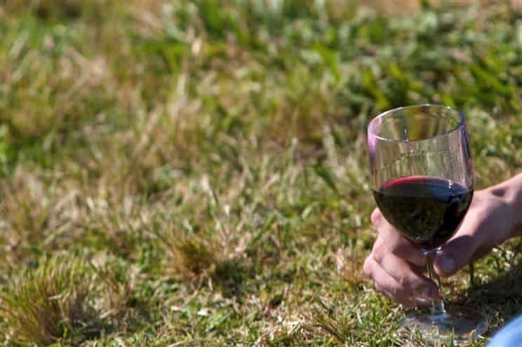 Frutos vermelhos e vinho tinto podem prevenir doenças mentais