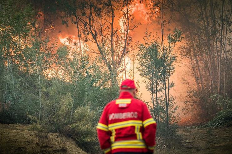 Quatro meios aéreos combatem fogo em Monchique