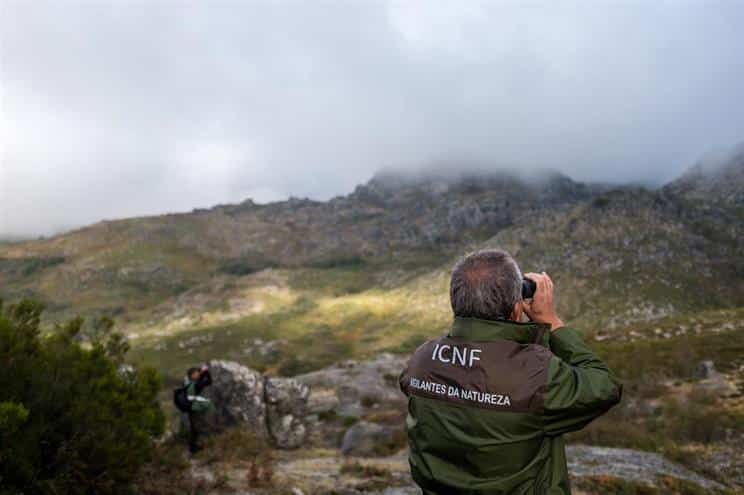 Abertas 90 vagas para vigilantes da natureza contra fogos
