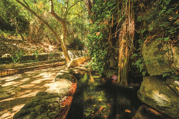 Águas de Monchique. “Não existe risco de contaminação”, garante empresa