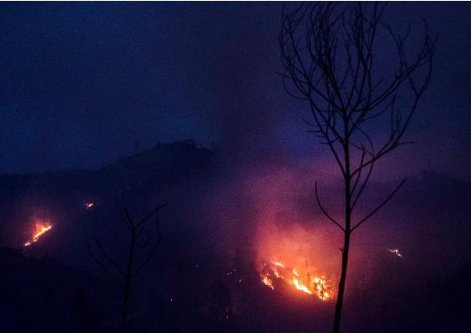 Fogo em Monchique agravou-se e obrigou a deslocar mais habitantes
