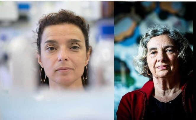 Duas investigadoras com o Prémio Pessoa foram recusadas pela Fundação para a Ciência e Tecnologia