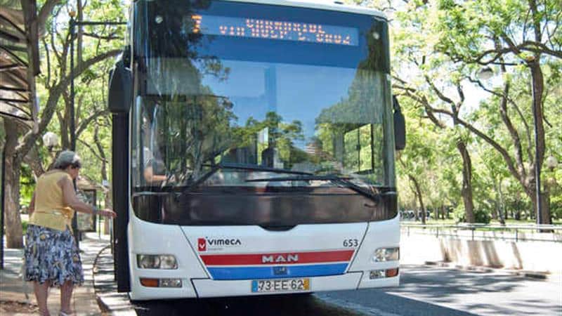 Transportes em Lisboa. O que Medina quer fazer e o que pensam os partidos