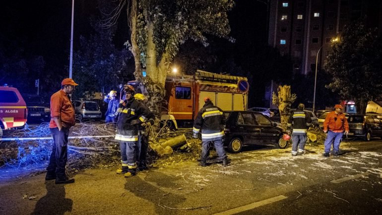 Autarca de Soure estima um milhão de euros de prejuízo