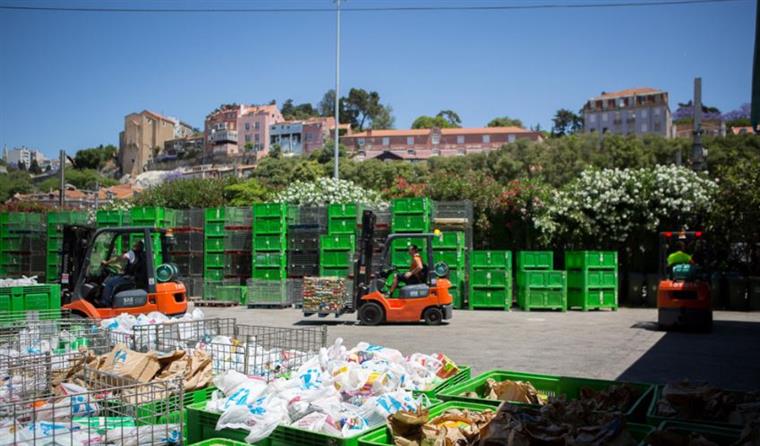 Banco Alimentar contra a Fome. Recolhidas 2.141 toneladas de alimentos