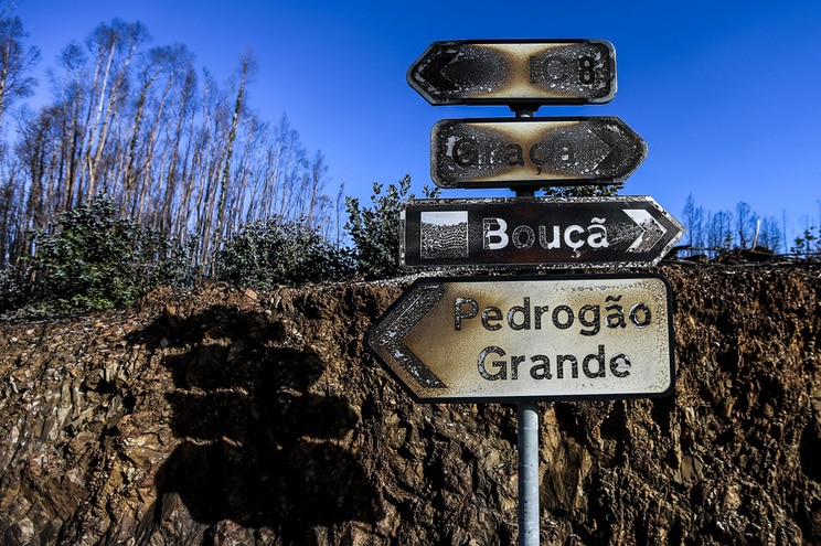Vem aí uma campanha choque contra incêndios