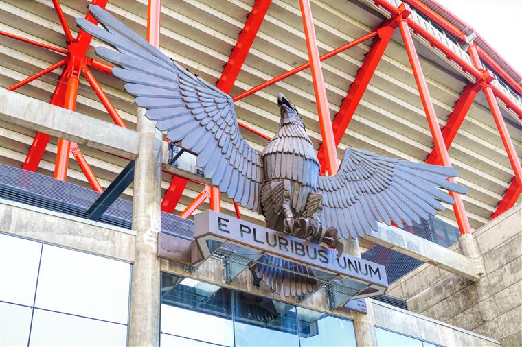 Benfica acusa Conselho de Disciplina da FPF de parcialidade
