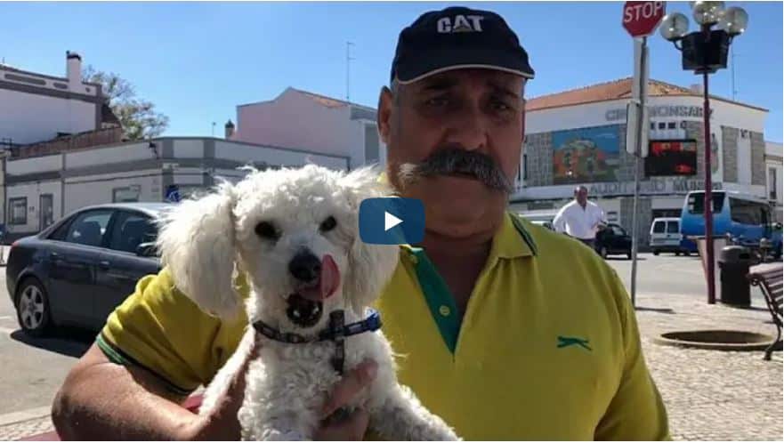 Sabe o que é o Brexit?