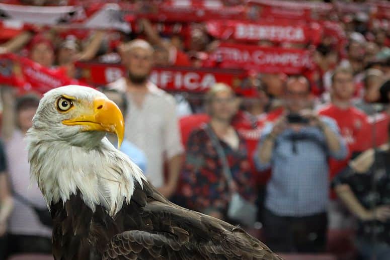 Bilhetes para a Supertaça esgotaram na Luz