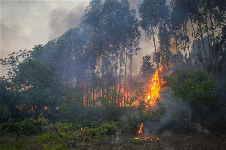 Incêndio de grande intensidade em Tavira
