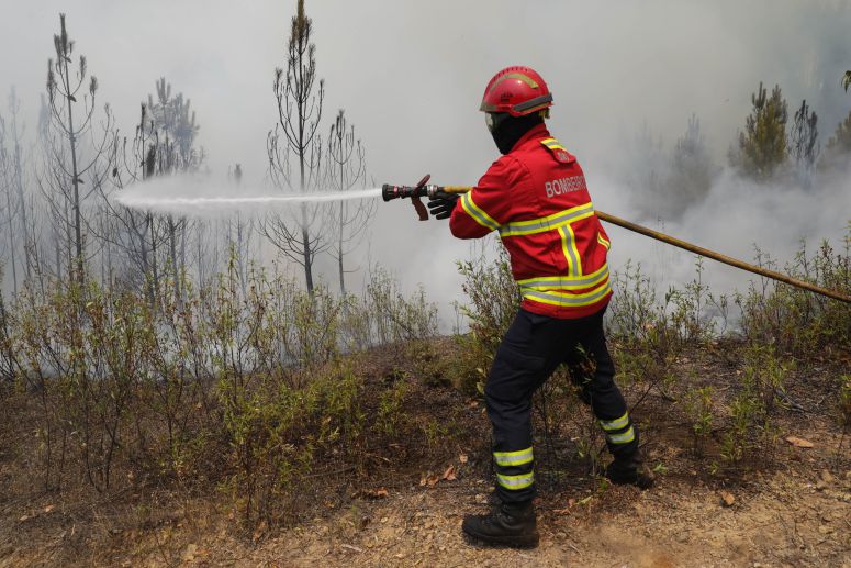 Incêndios: Frentes de Vila de Rei e de Mação 90% dominadas