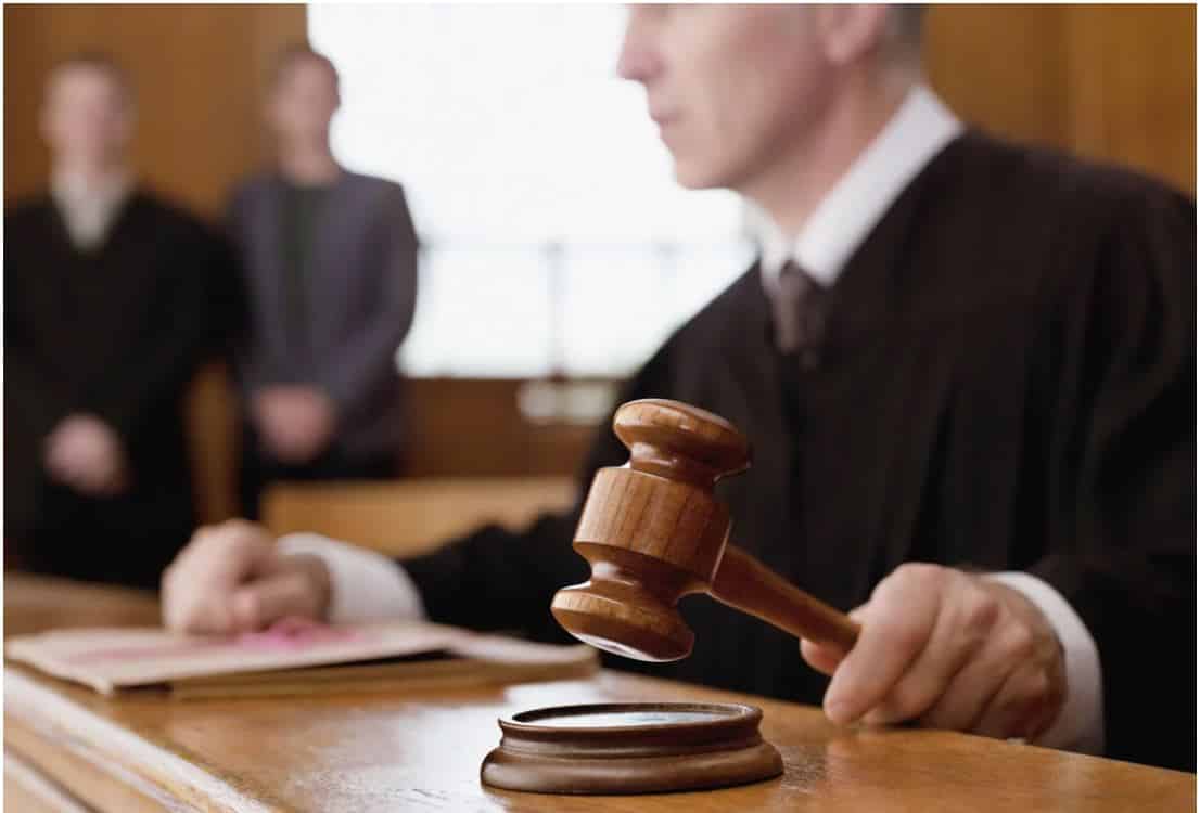 Homem condenado a 1 ano de pena suspensa por matar gato