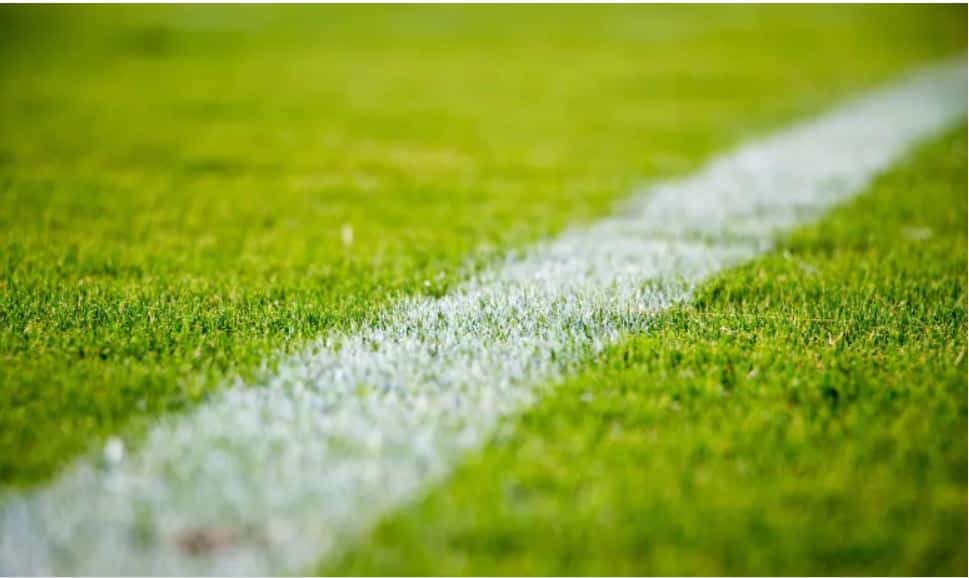 FC Porto procura reaproximar-se do Benfica. Sporting de olhos postos no terceiro lugar