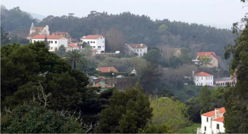 Discreto, confidencial e informal. 110 bispos juntam-se em Sintra convocados por críticos do Papa