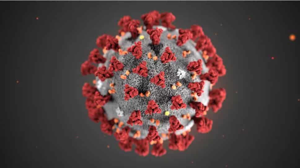 Covid-19: Novo coronavírus já circulava na China em outubro