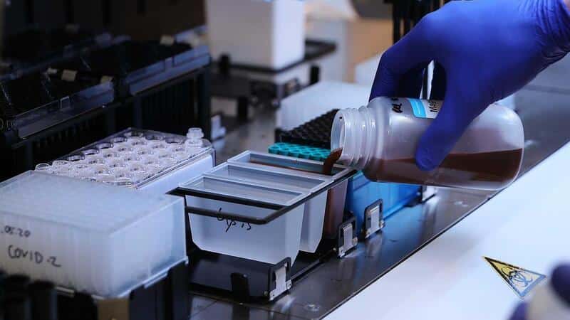 Cientistas descobrem anticorpo poderoso que combate o vírus